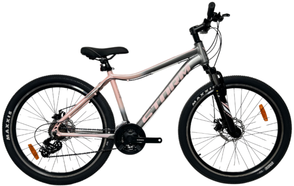 Rower STORM QUEEN 2D 17" 26" srebrny 2025