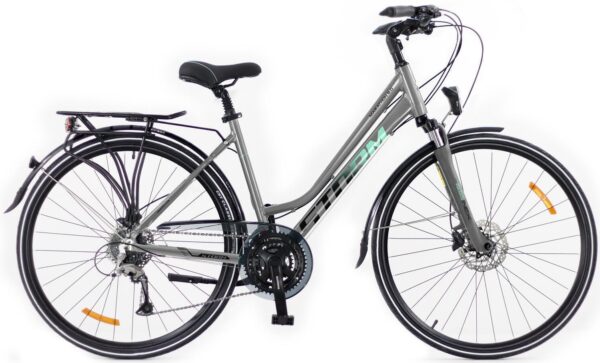 Rower STORM MARATHON 8.0 LADY 17" 28" srebrny