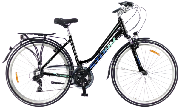 Rower STORM MARATHON 1.0 LADY 19" 28"