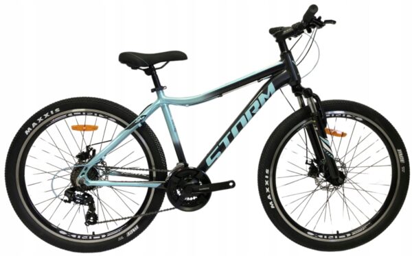 Rower STORM QUEEN 2D 17" 26" grafit / morski 2025