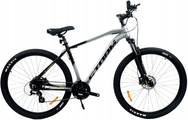 Rower STORM SHARK 2.0 19" 29" srebrny 2022