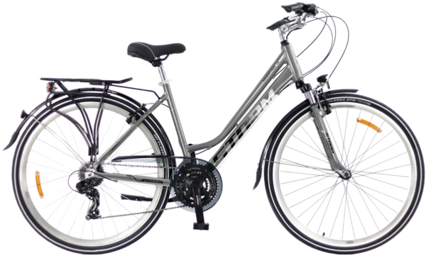 Rower STORM MARATHON 1.0 LADY 28″ srebrny