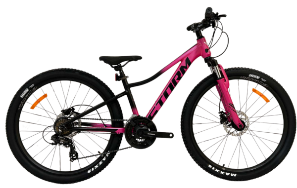 Rower STORM QUEEN 2HD 26" ciemny róż mat 2025