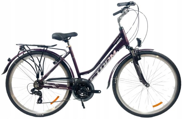 Rower STORM MARATHON 1.0 LADY 19" 28″ śliwkowy