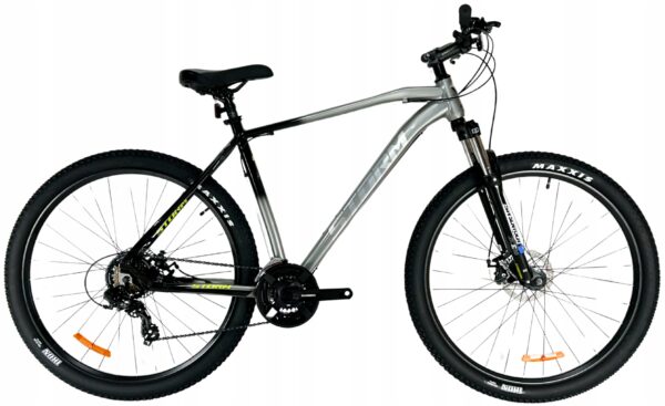 Rower STORM SHARK 1.0 2D 21″ 29″ srebrny / czarny 2025